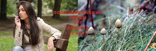 мескалин Арсеньев